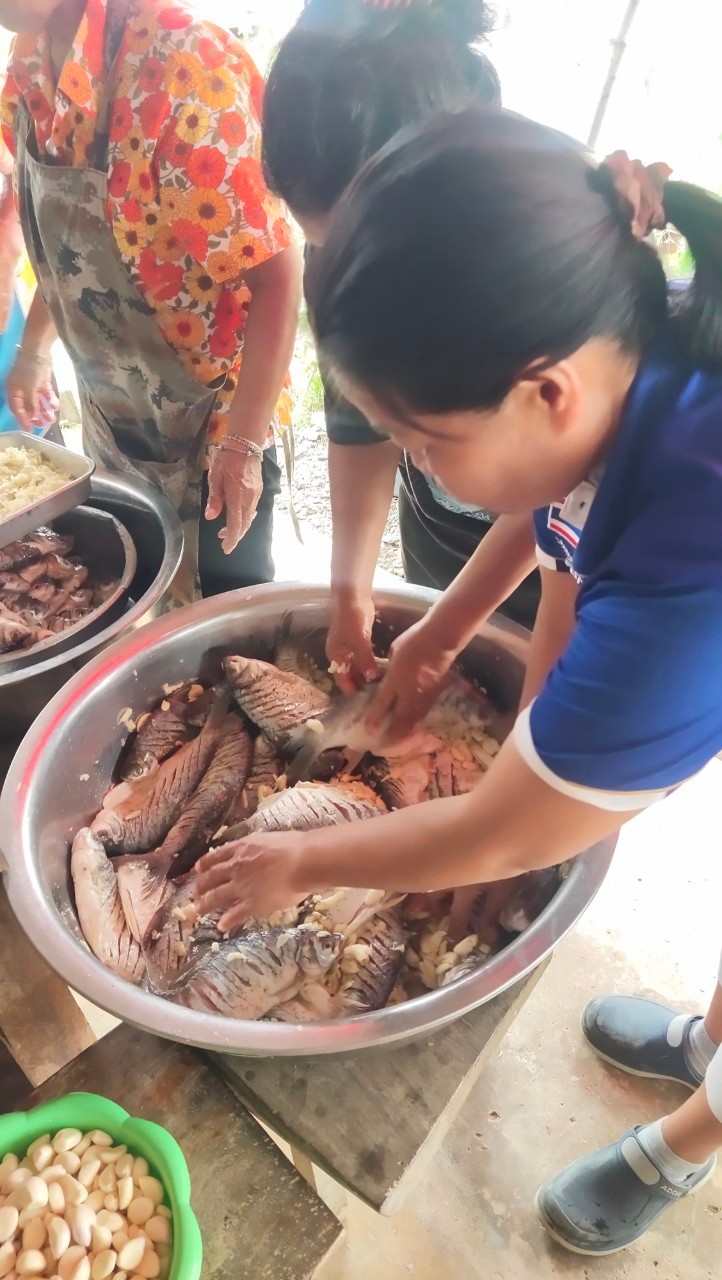 title - อบรมเกษตรกรโครงการส่งเสริมระบบวนเกษตรในเขตปฏิรูปที่ดิน ปีงบประมาณ พ.ศ. 2567 (เกษตรกรขั้นที่ 2) 